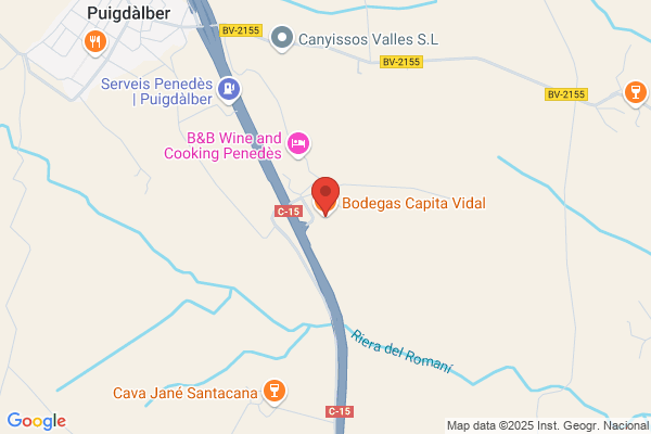 Bodegas Capita Vidal S.A.