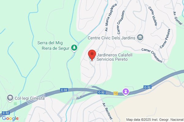 Servicios Pereto