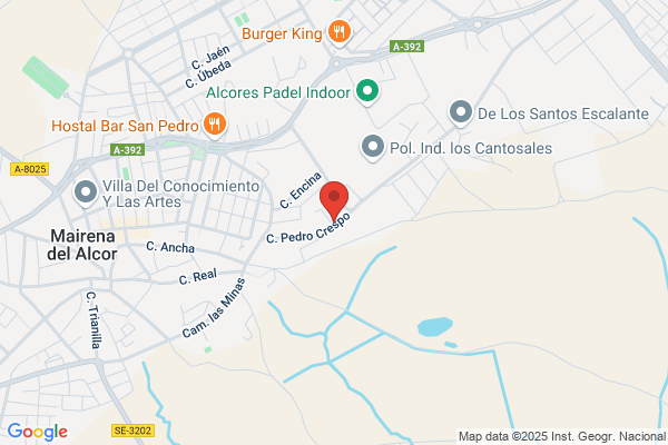 Bosch Car Service Alcores Union y Servicios 2020
