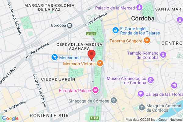 Auditores Consultores C B & A