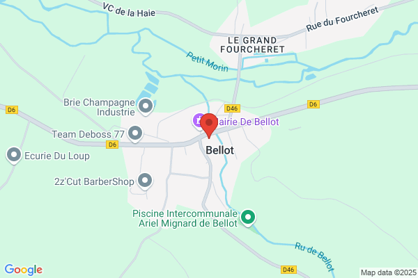 Rico Bellot l.