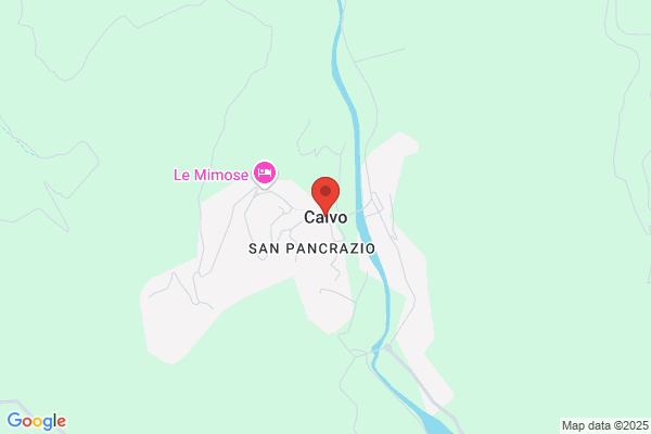 Calvo Minchinela f.