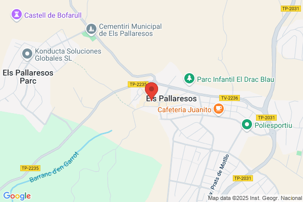 Fortuny Palau j. M.