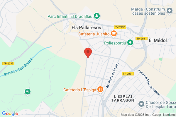 Ripoll Gallego a.