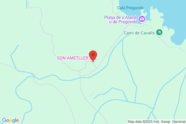 Ametller Femenias j. J.