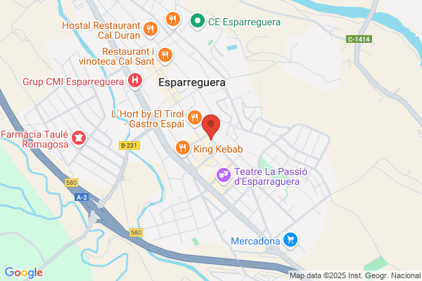 Academia Millenium Esparreguera