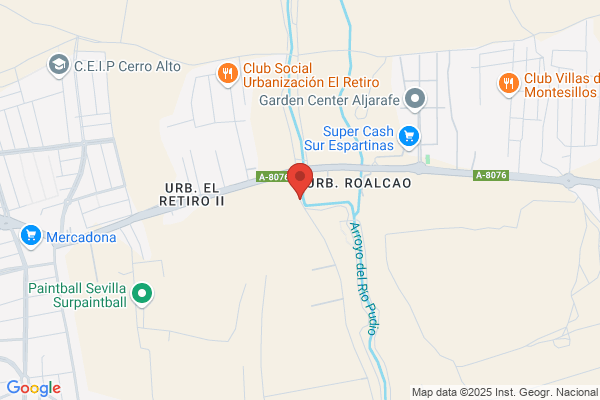 BIOMASA RUIZ
