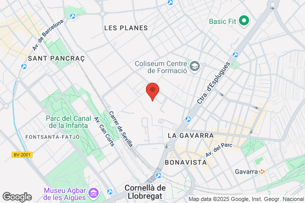 Artes Graficas Cornella S.L.
