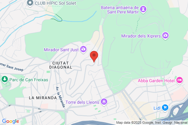 Alonso Merino l.