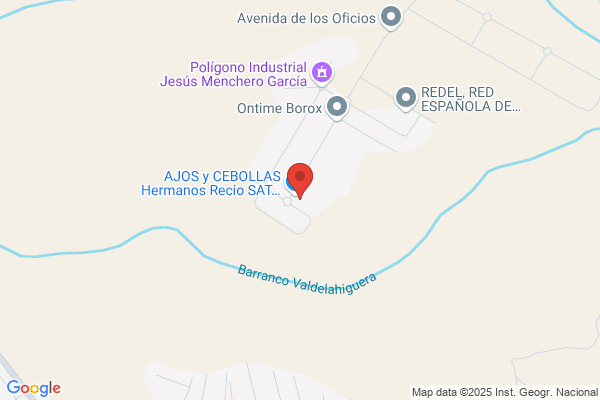 AJOS y CEBOLLAS Hermanos Recio S.A.T. 6300