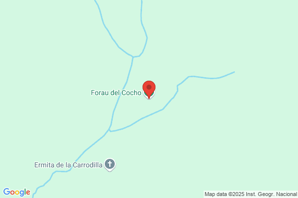 Bosque Calvo l.