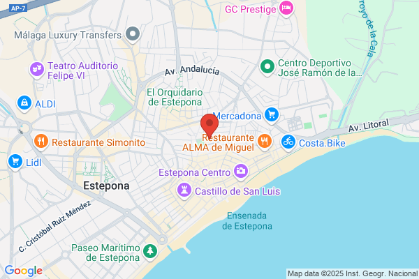Top Informatica Estepona S.L.