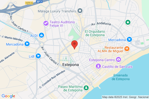 Peña Flamenca De Estepona