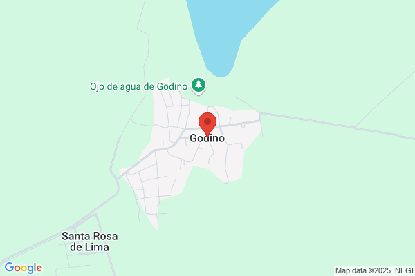 Godino Muñoz m.