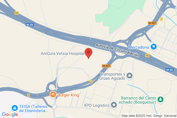 Adervet Dermatologia Veterinaria en Vetsia Hospital Veterinario
