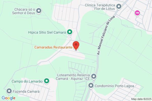 Camaradas
