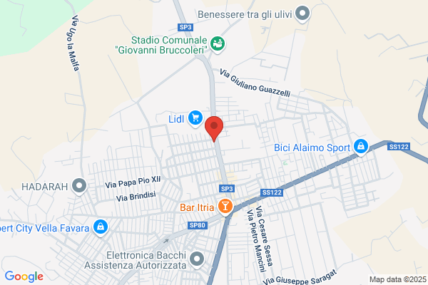 Bodi Grau v.