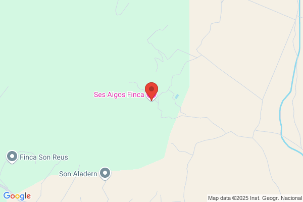 Fontaneria Ses Aigos S.L.