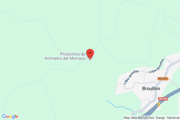 Asociacion Protectora De Niños Anormales De Galicia