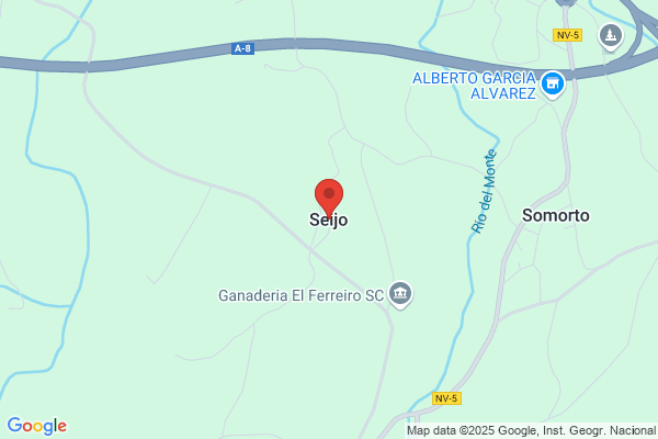Seijo Souto a.
