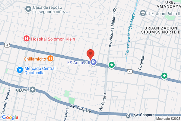 Empresa Nacional De Electricidad S. A.