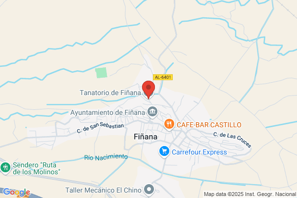 TANATORIOS Y FUNERARIAS DEL SUR