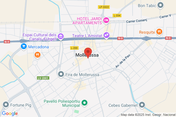 MOLLERUSSA VISIÓ