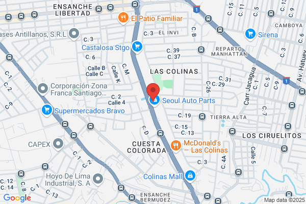 Corripio Castaño a.
