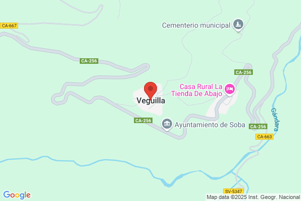 Barba Veguillas j.