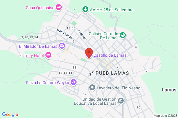 Castillo Llamas a.