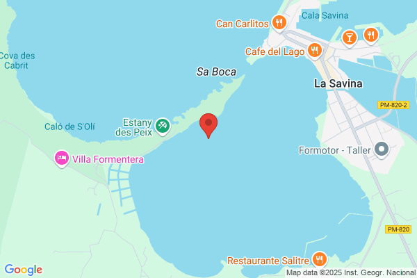Foto Estudi Pins