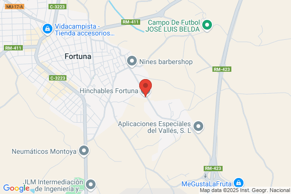 HINCHABLES FORTUNA