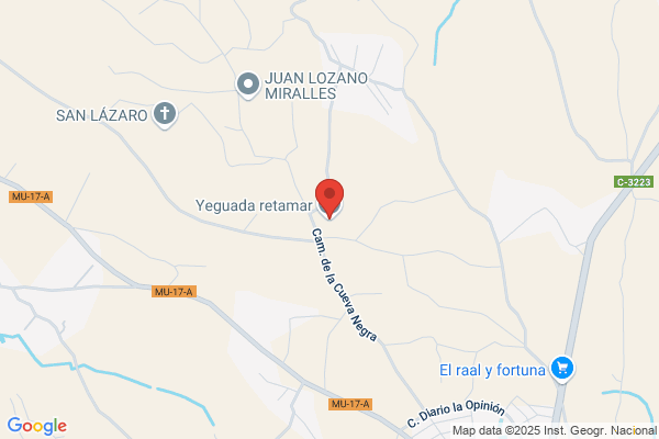 Yeguada retamar