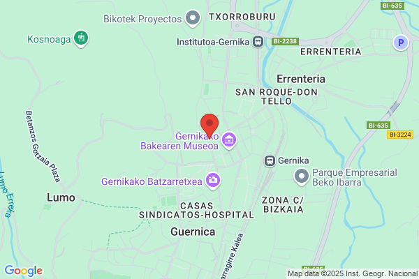Inmobiliaria Gernika