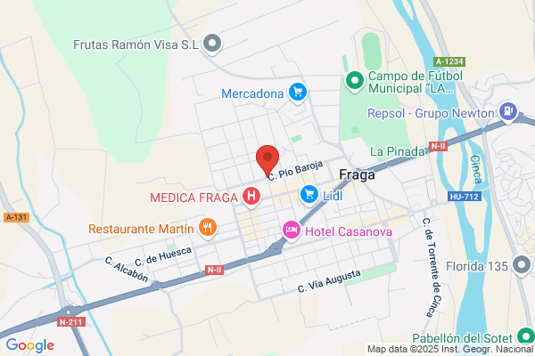 Técnico En Seguridad E Higiene Vicente Ruiz Espinosa