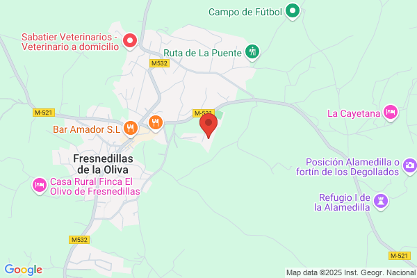 Madrileña De Negocios S.A.