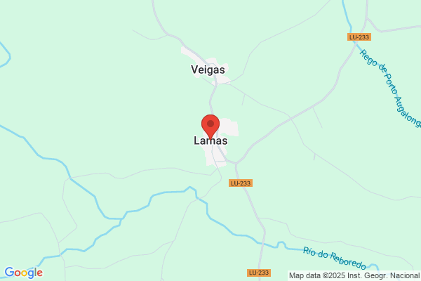 Lamas Simon a.