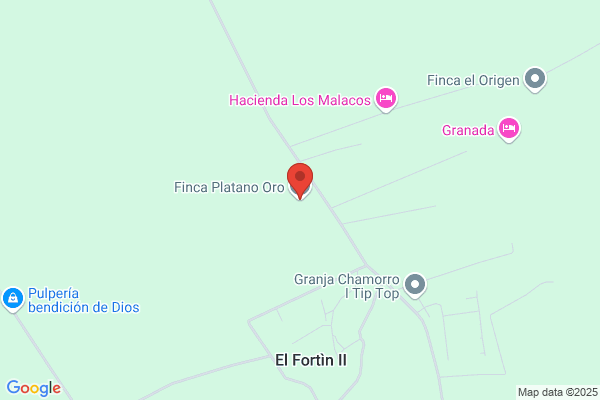 Finca Plátano de Oro