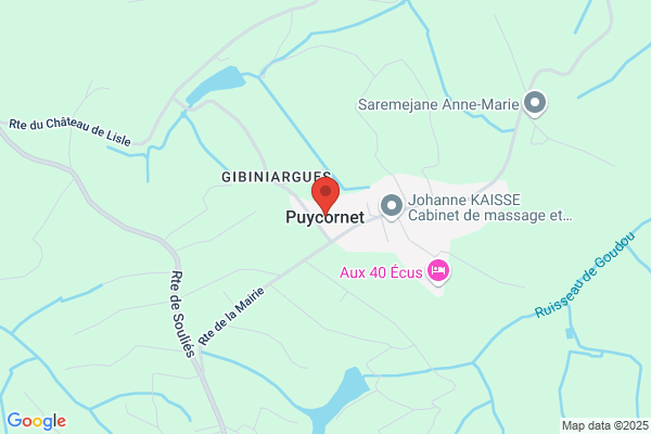 Puyconra