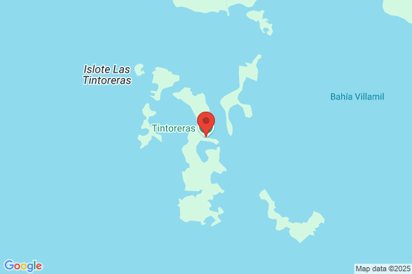 Tintoreras Alba