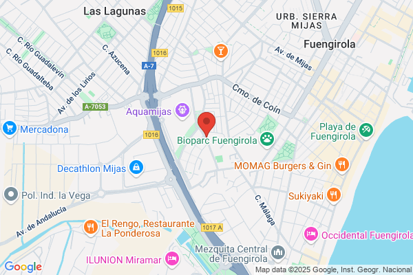 Interrimpex España S.L.