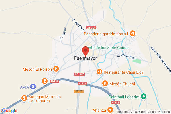 Fundacion Nueva Europa