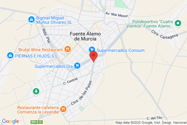 Estacion de Servicio Lapintaica