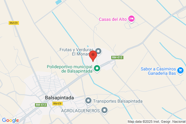 Internacionales Pedreño S. A.