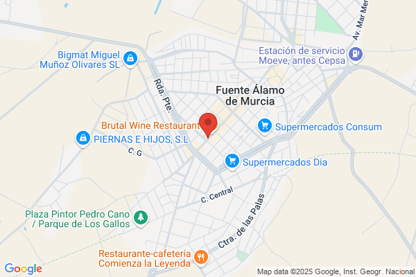 Zamora Mendoza s.