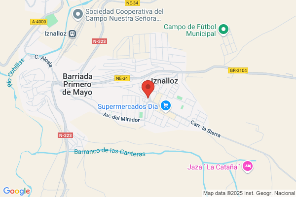 Farmacia Isabel Vidal Sánchez - Palencia