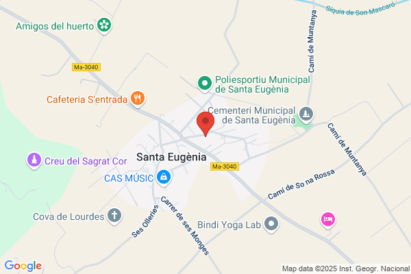 Renta Cotxes Santa Eugenia S. A.