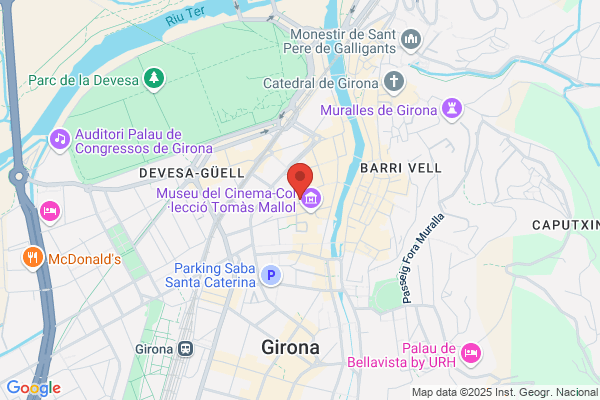 Zapping Girona S.L.