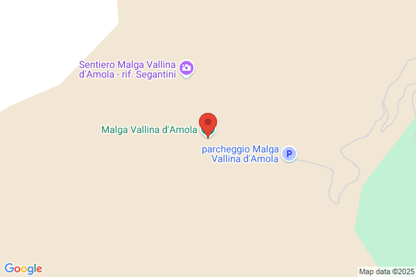 Moris Vallina d.