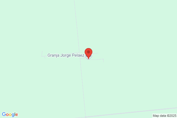 Blanco Pelaez p.